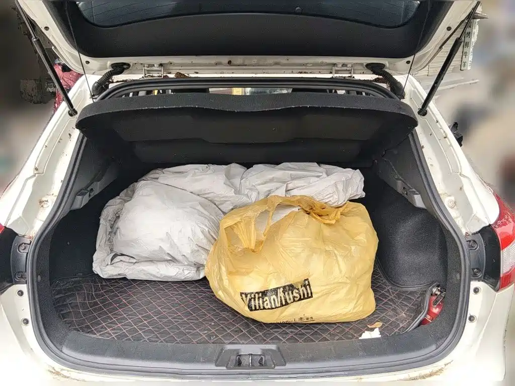 Nissan Qashqai — миниатюра 20