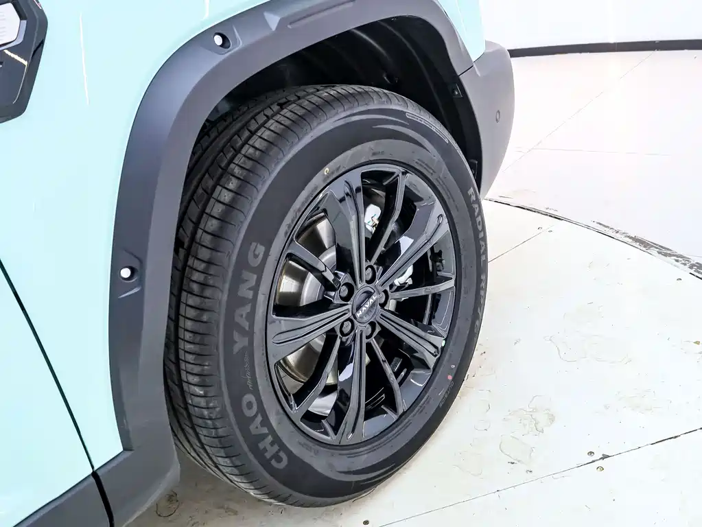 HAVAL RAPTORS NEW ENERGY