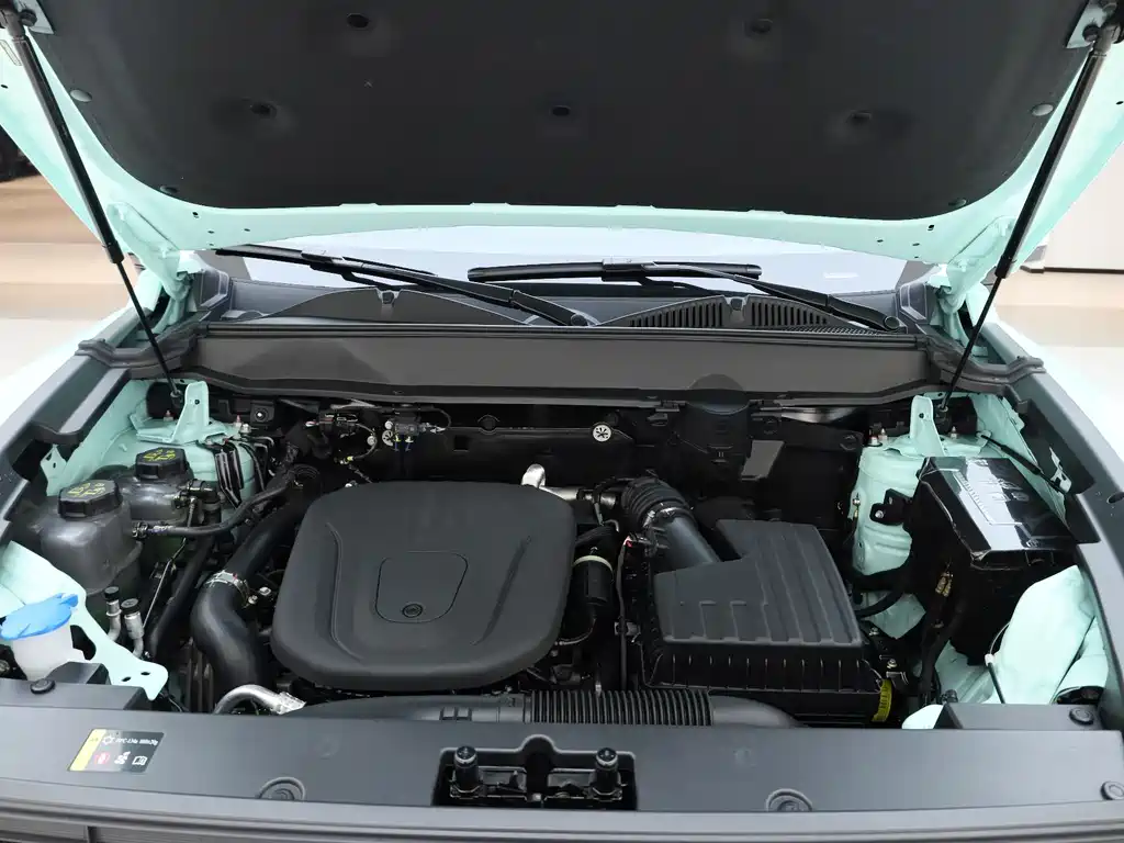 HAVAL RAPTORS NEW ENERGY