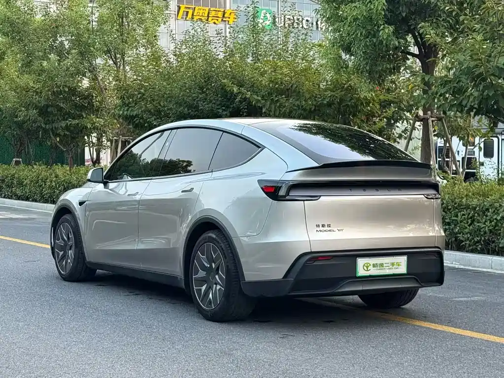 Tesla Model Y L — миниатюра 6