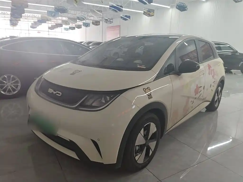 Byd Dolphin 2024
