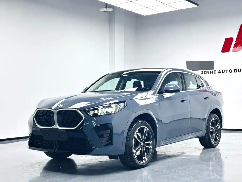 2024 BMW X2 - zdjęcie 1 z 9