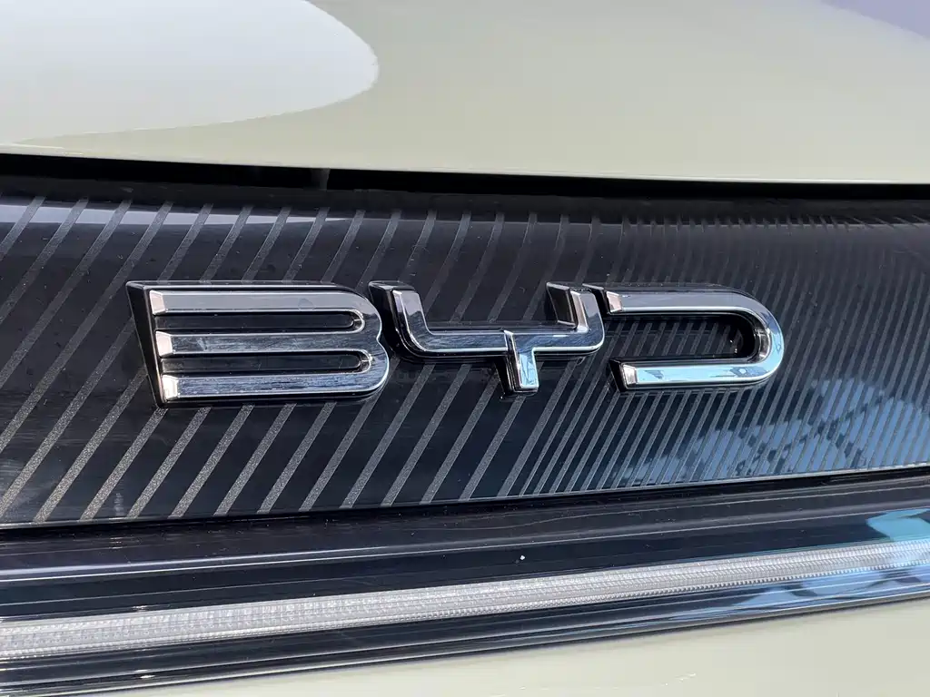 BYD Dolphin — миниатюра 5