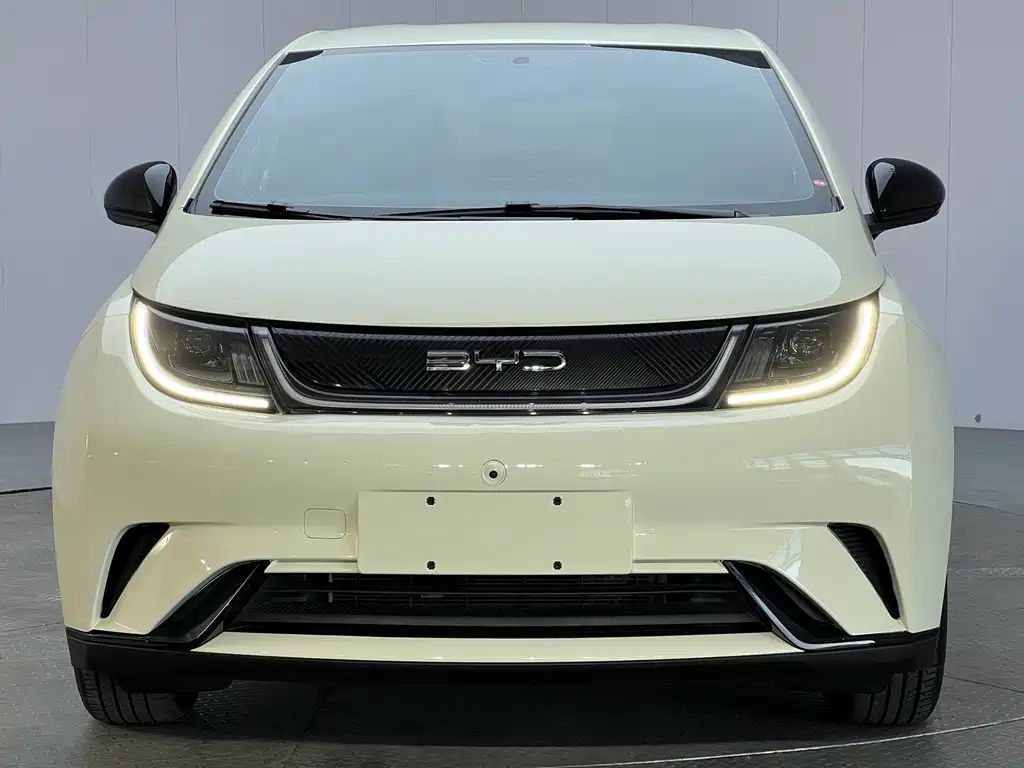 BYD Dolphin — миниатюра 2