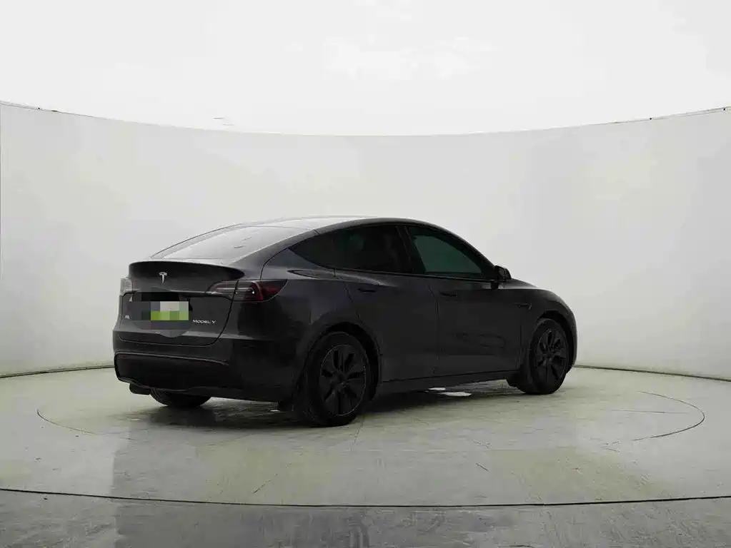 Tesla Model Y — миниатюра 7