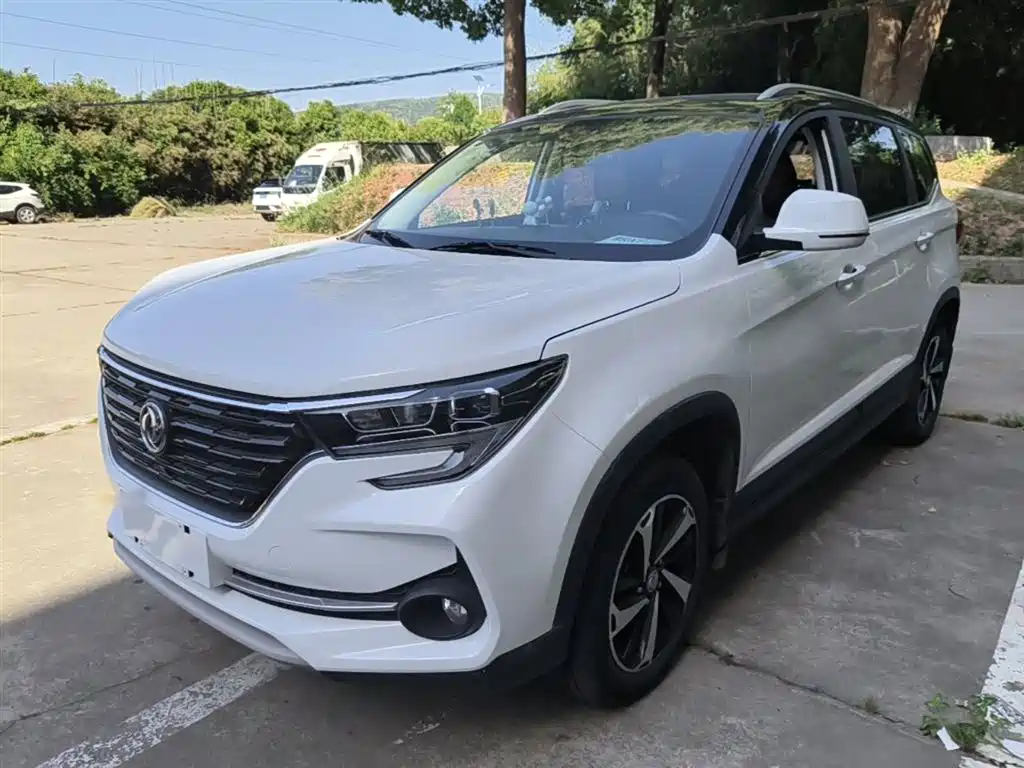 Fengxing Fengxing T5 2019