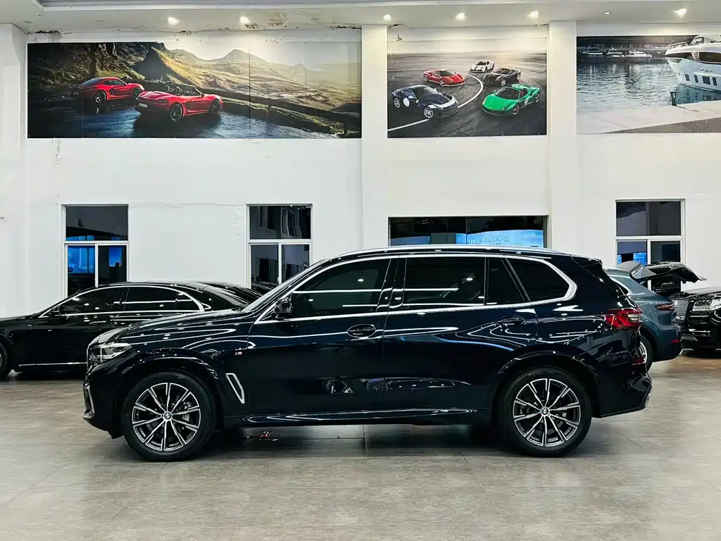 BMW X5 — миниатюра 2