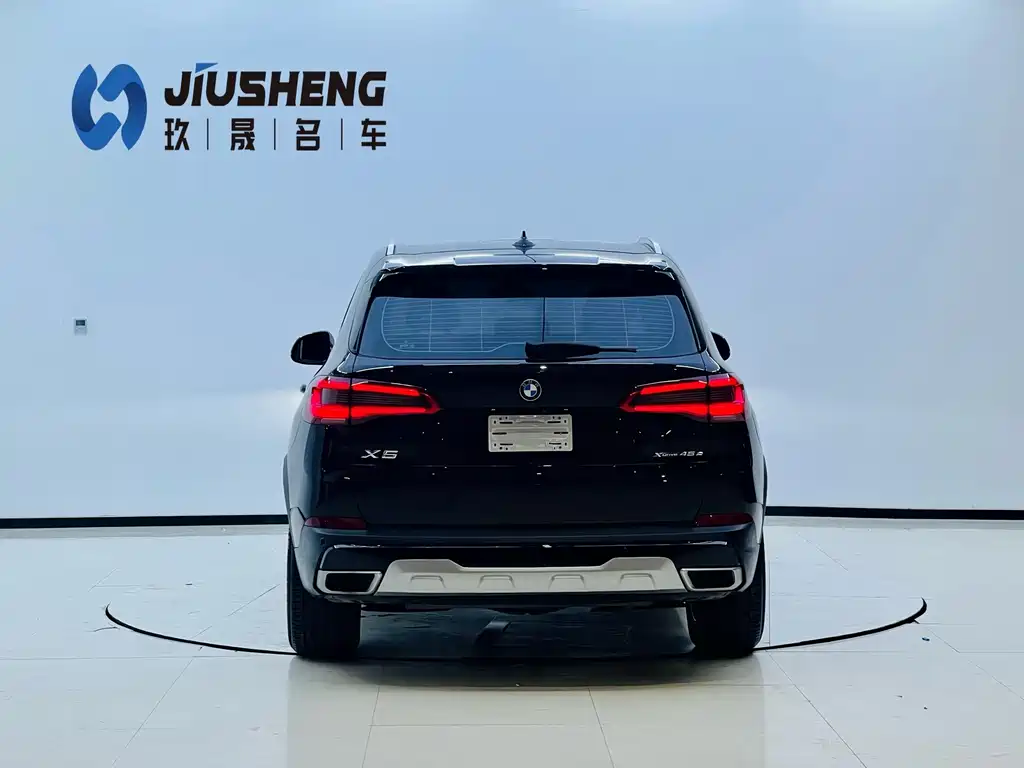 BMW X5 New Energy (Import) — миниатюра 19