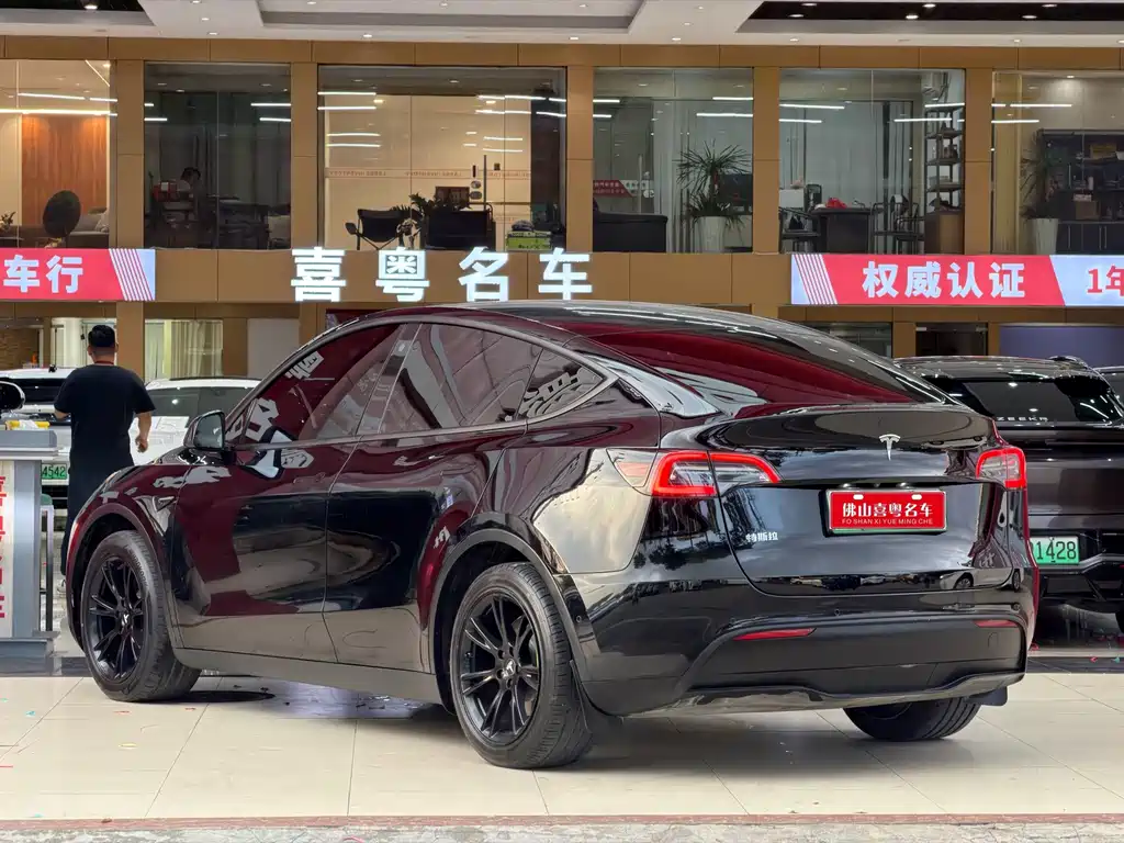 Tesla Model Y — миниатюра 2