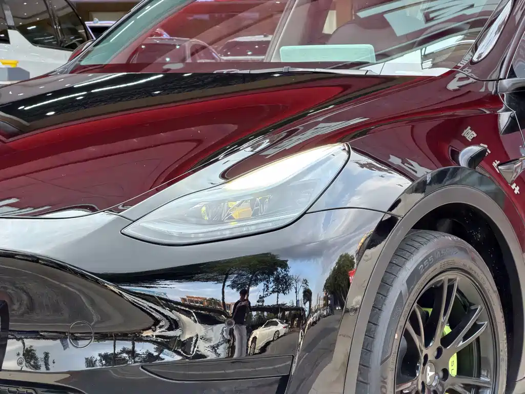 Tesla Model Y — миниатюра 3