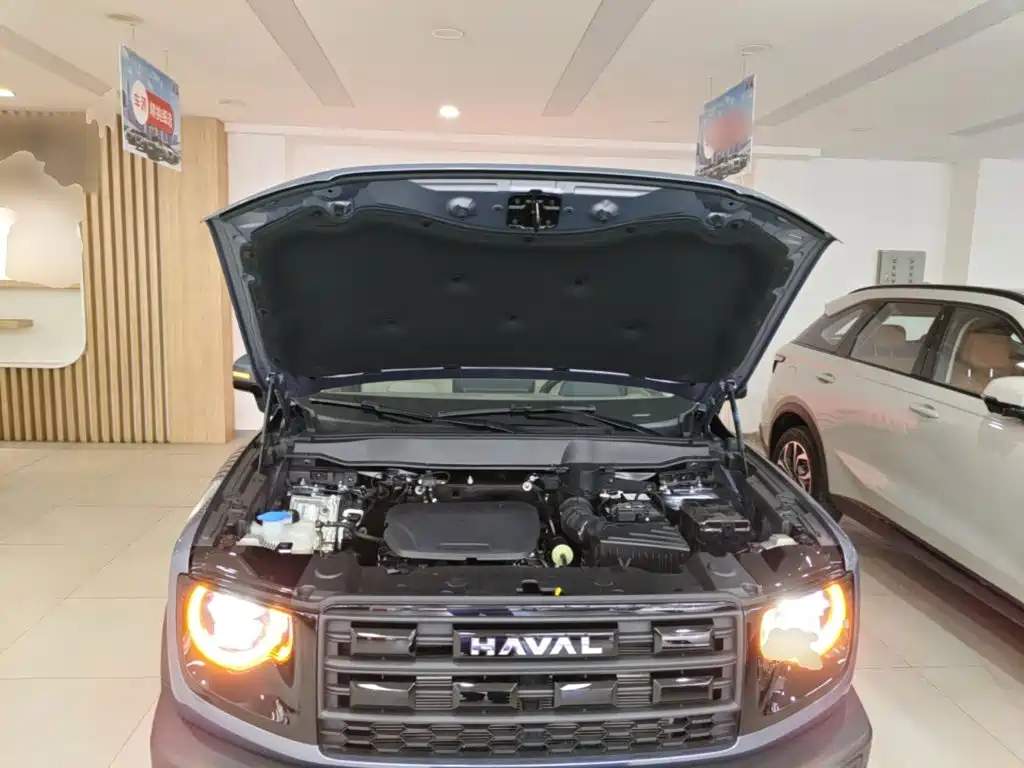 Haval Big Dog — миниатюра 20