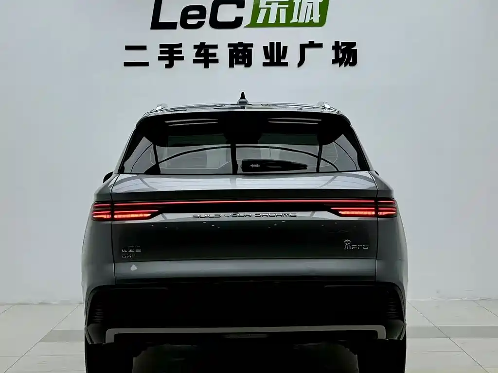 BYD Pro New Energy — миниатюра 15