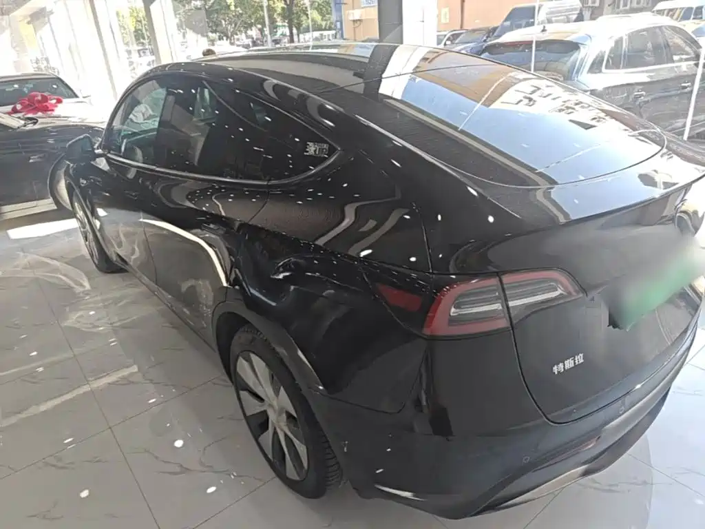 Tesla Model Y — миниатюра 5
