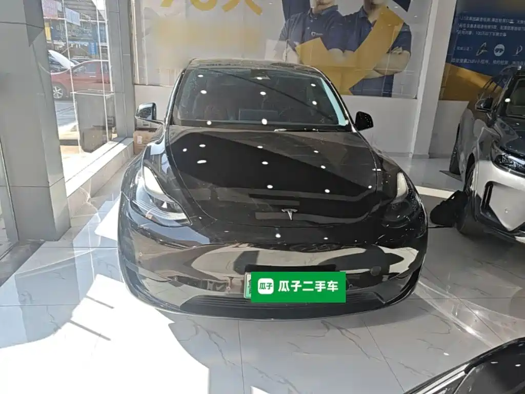 Tesla Model Y — миниатюра 3