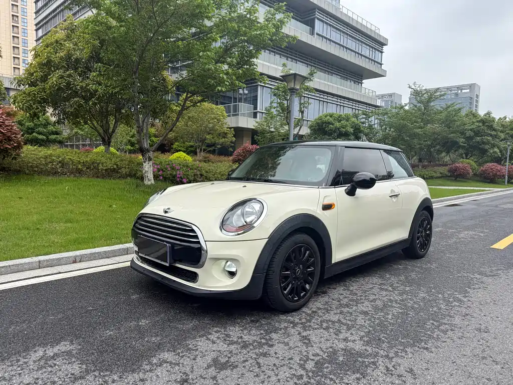 Mini Mini 2018