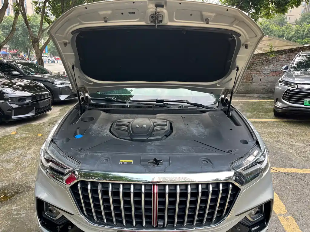 Hongqi Hongqi HS5 — миниатюра 15