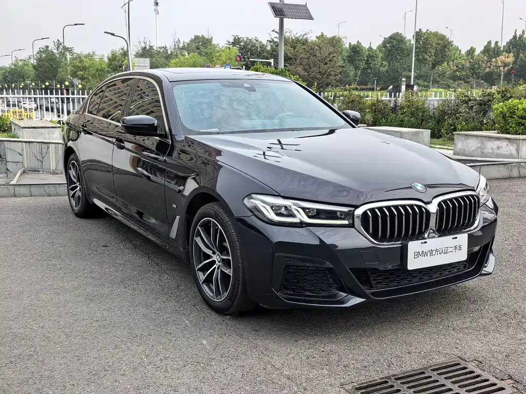 BMW 5 Series — миниатюра 3
