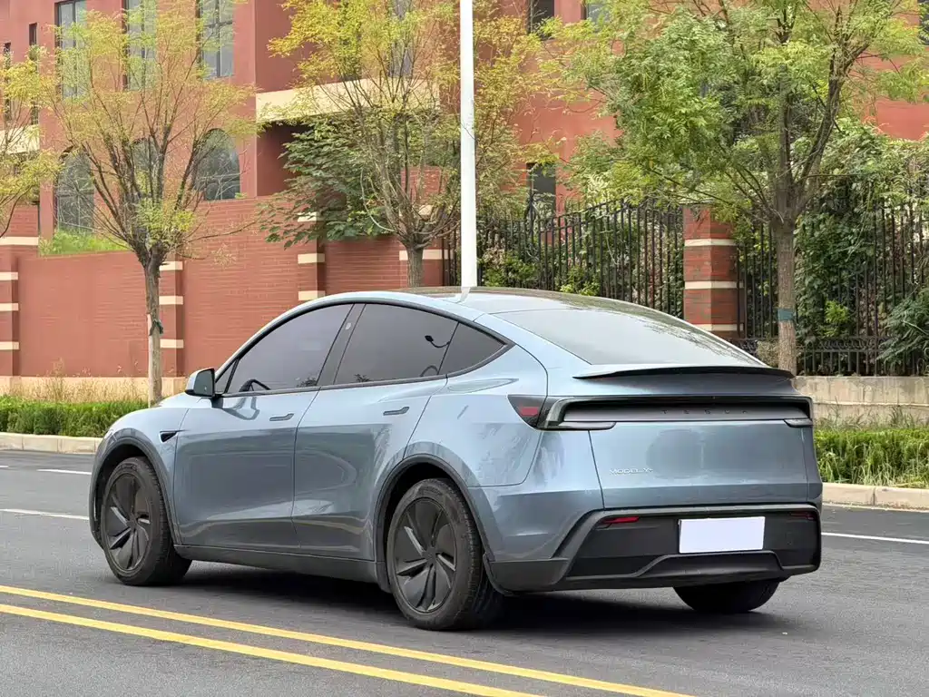 Tesla Model Y — миниатюра 7