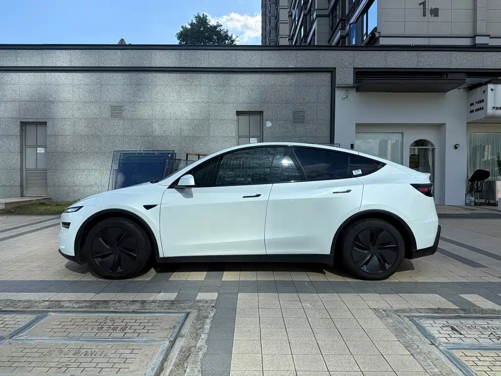 Tesla Model Y — миниатюра 15