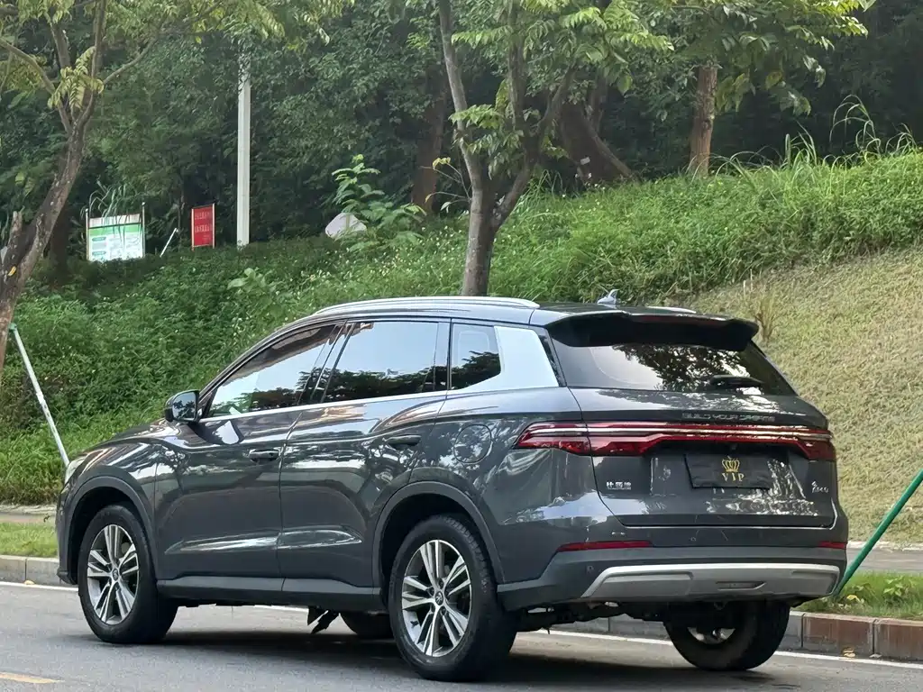 BYD Pro — миниатюра 4