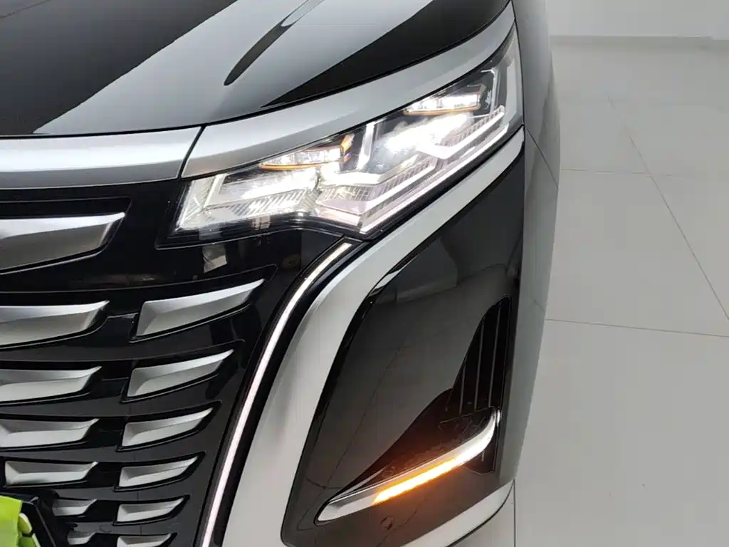 Denza Denza D9 — миниатюра 24