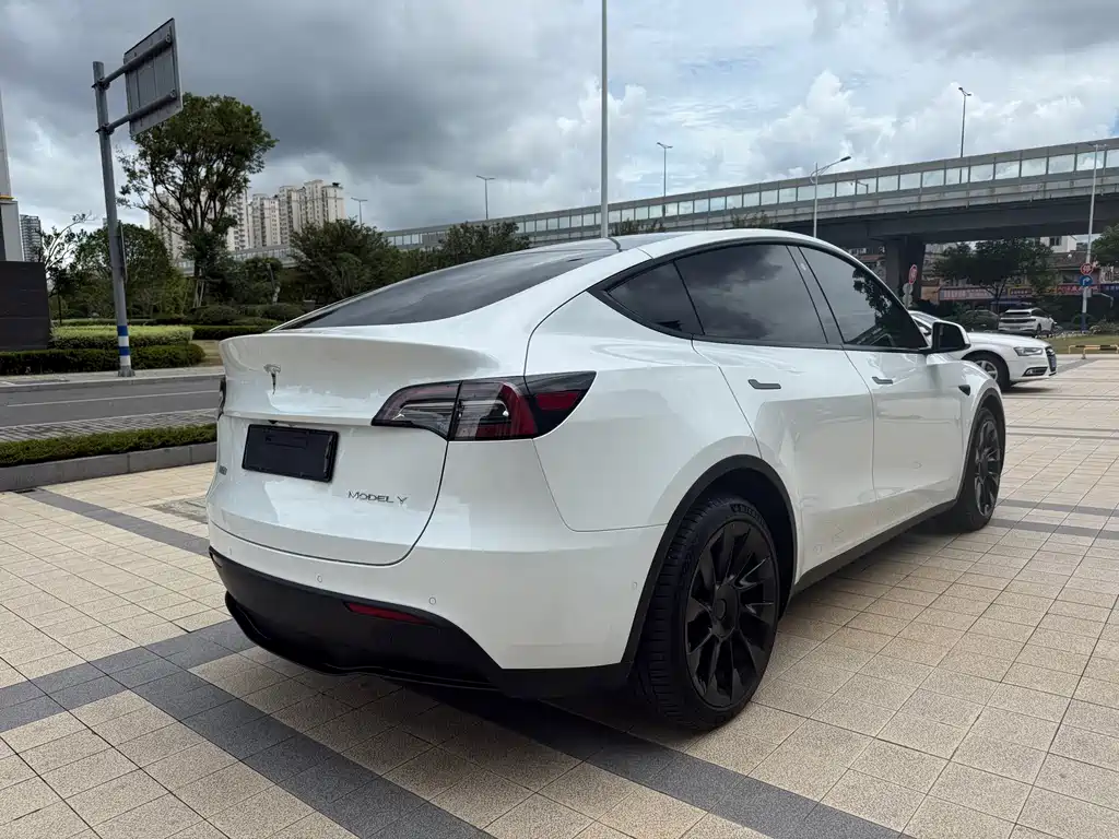 Tesla Model Y — миниатюра 11