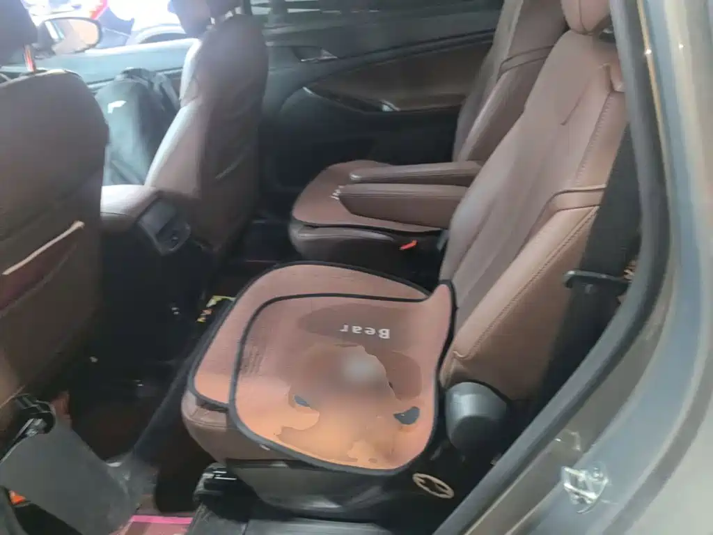 Buick GL6 — миниатюра 17