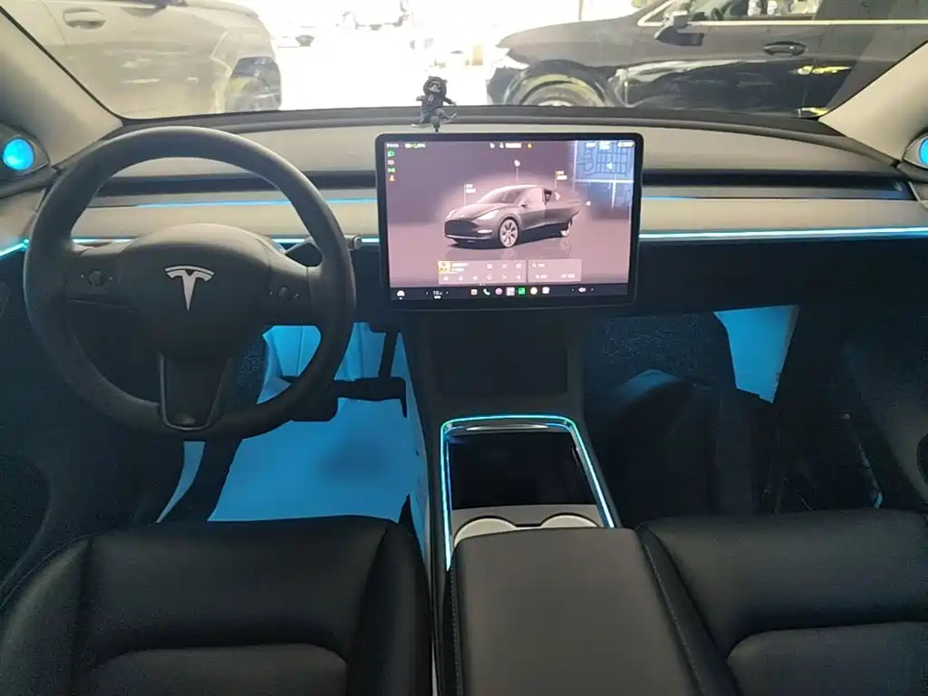 Tesla Model Y — миниатюра 10