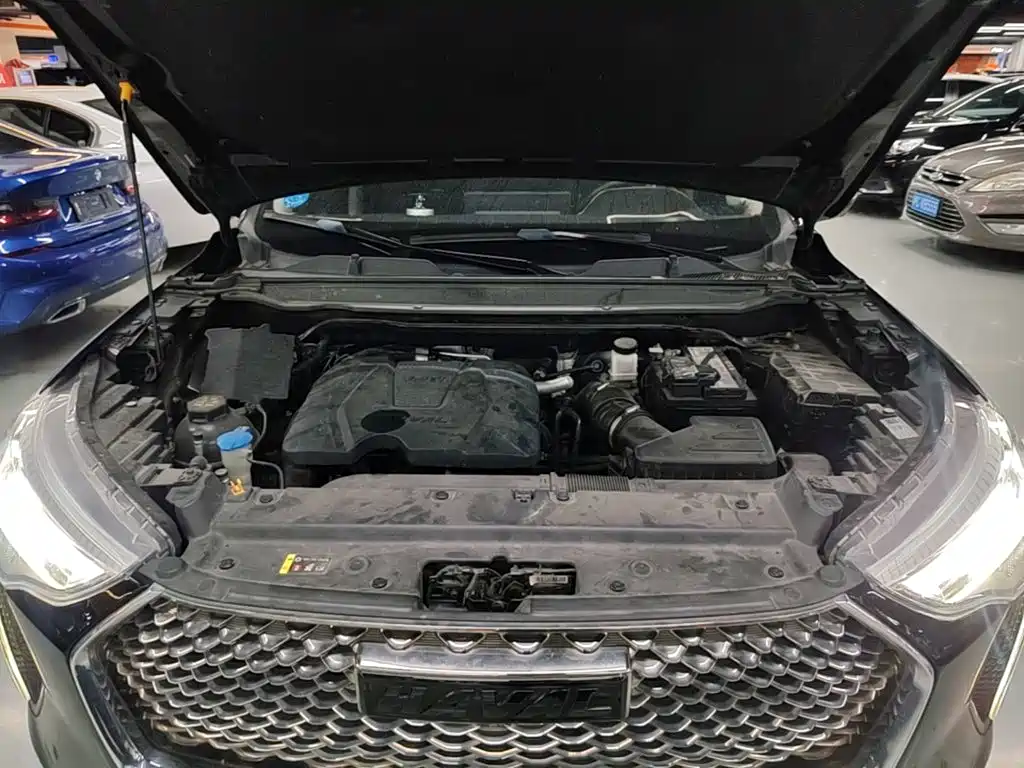 Haval Chulian — миниатюра 20