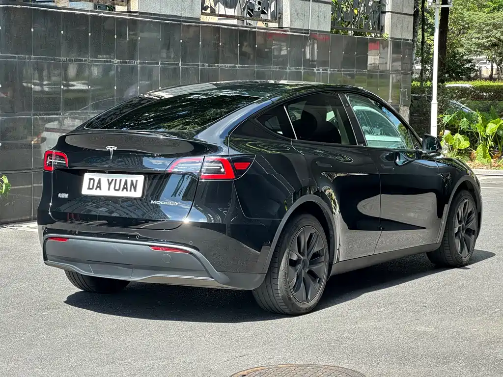 Tesla Model Y — миниатюра 15