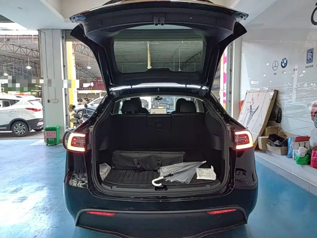 Tesla Model Y — миниатюра 19