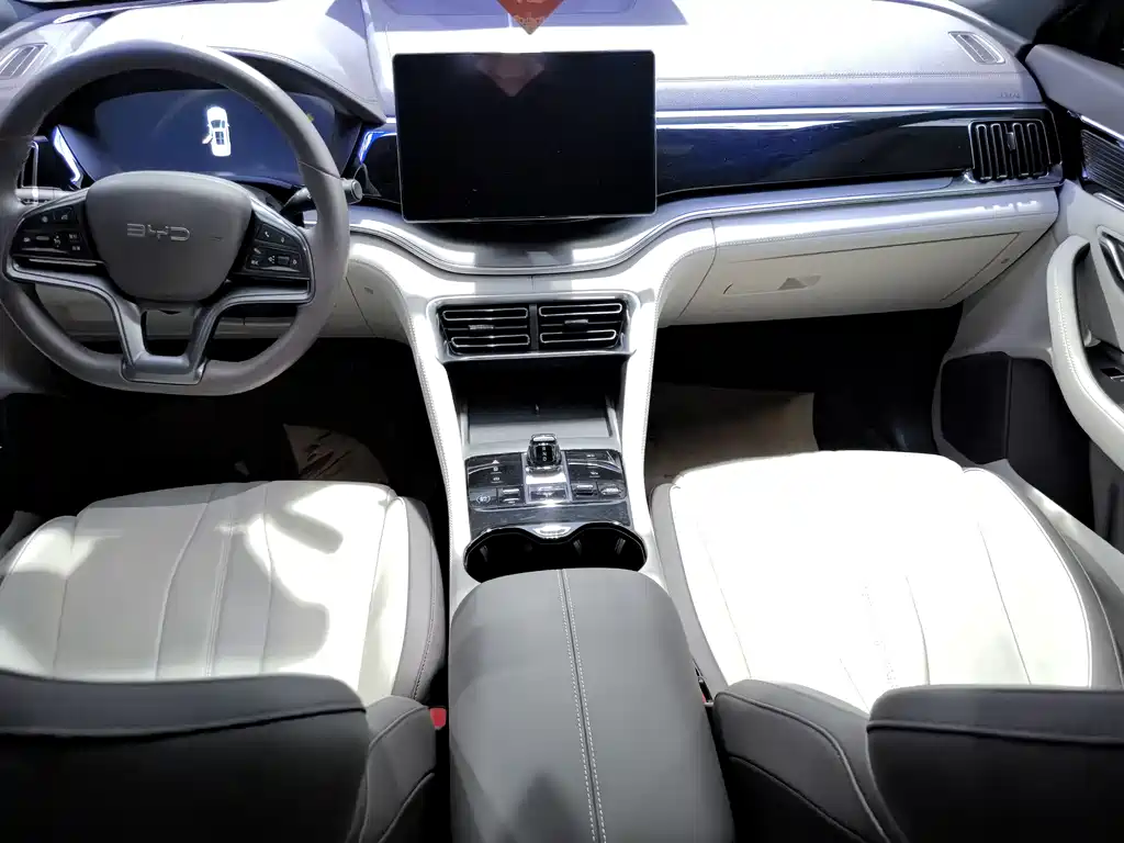 BYD SONGJIANG NEW ENERGY