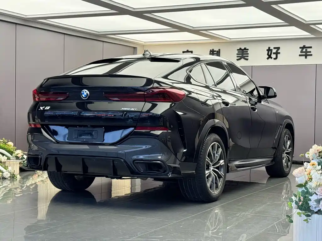 BMW X6 — миниатюра 7