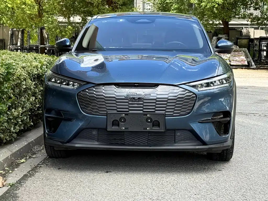 Ford Mustang Mach-E — миниатюра 2