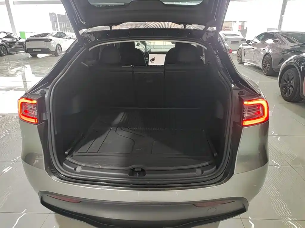Tesla Model Y — миниатюра 19