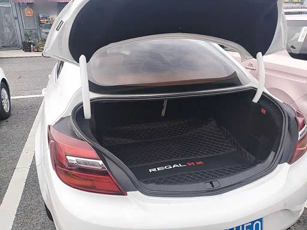 Buick Regal — миниатюра 19