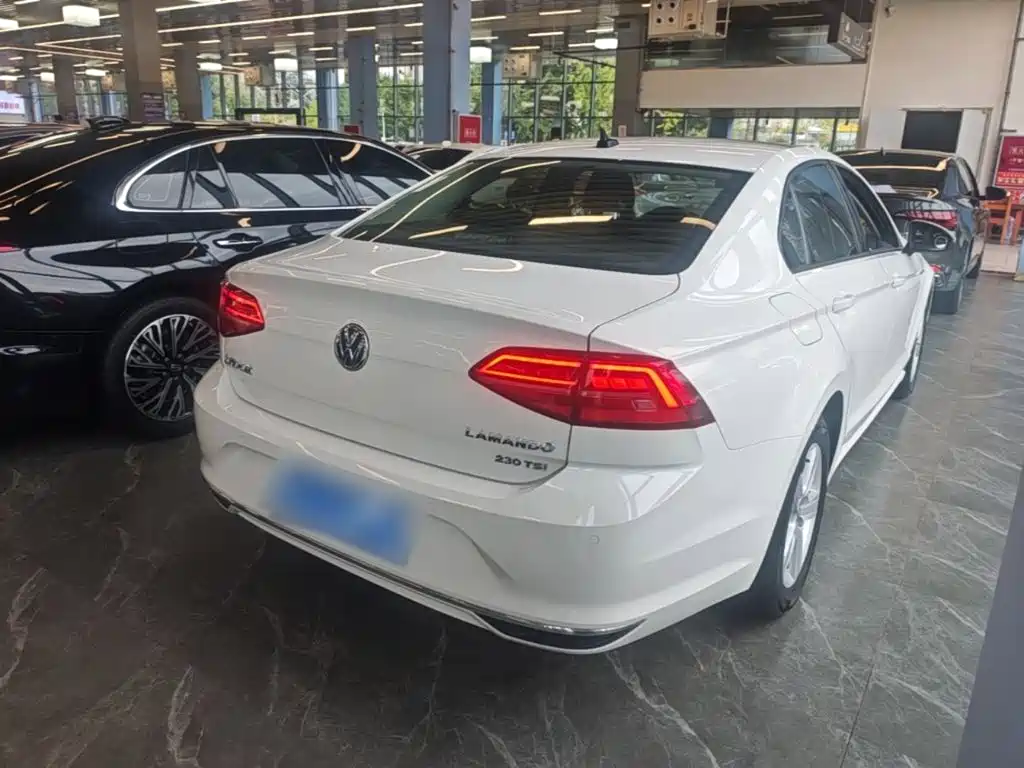 Volkswagen Lamando — миниатюра 7