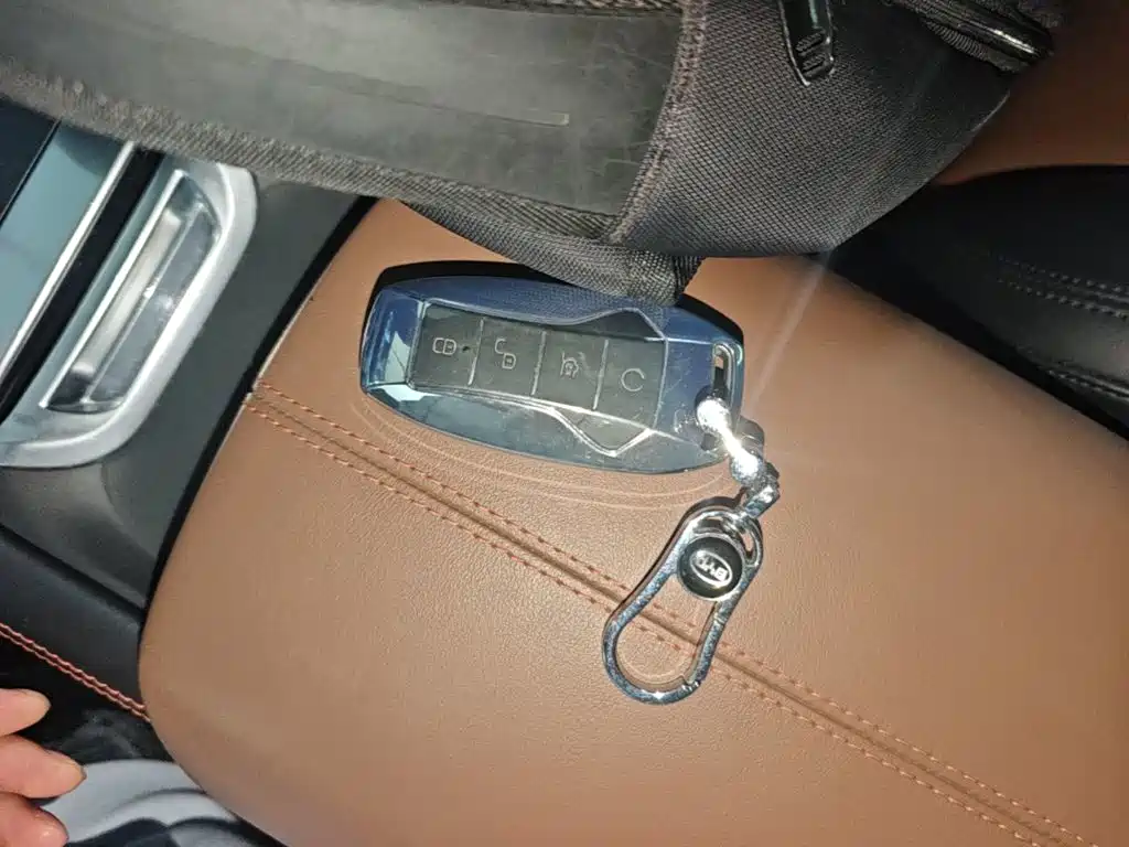 BYD PLUS — миниатюра 9