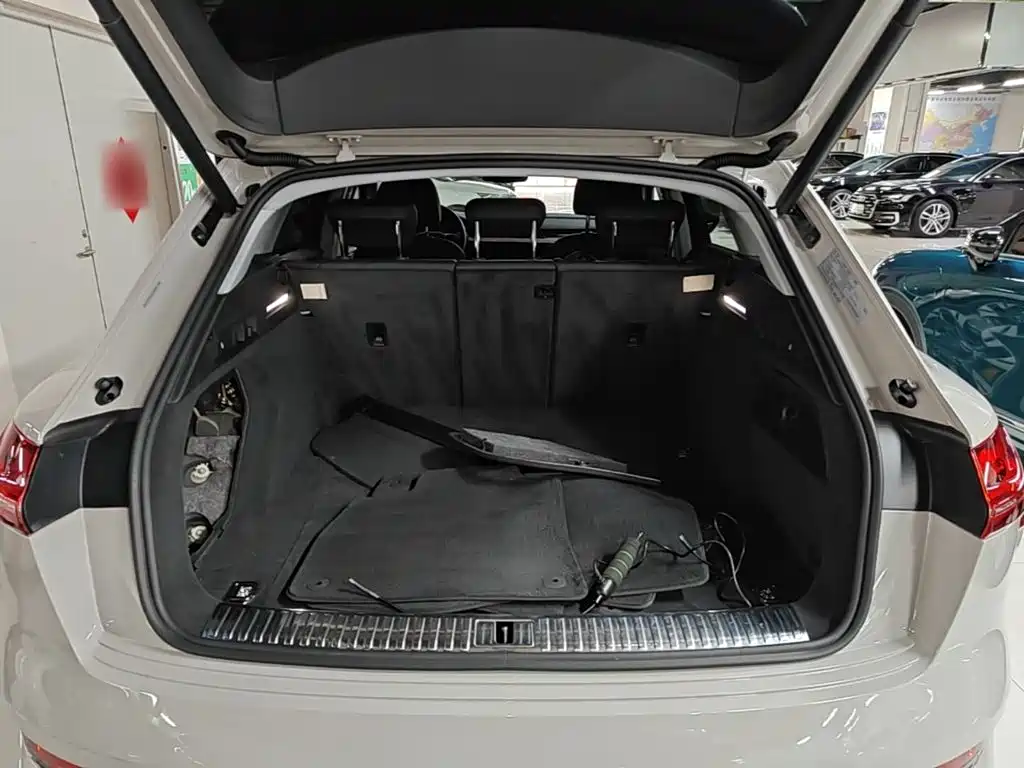 Audi e-tron (Import) — миниатюра 19