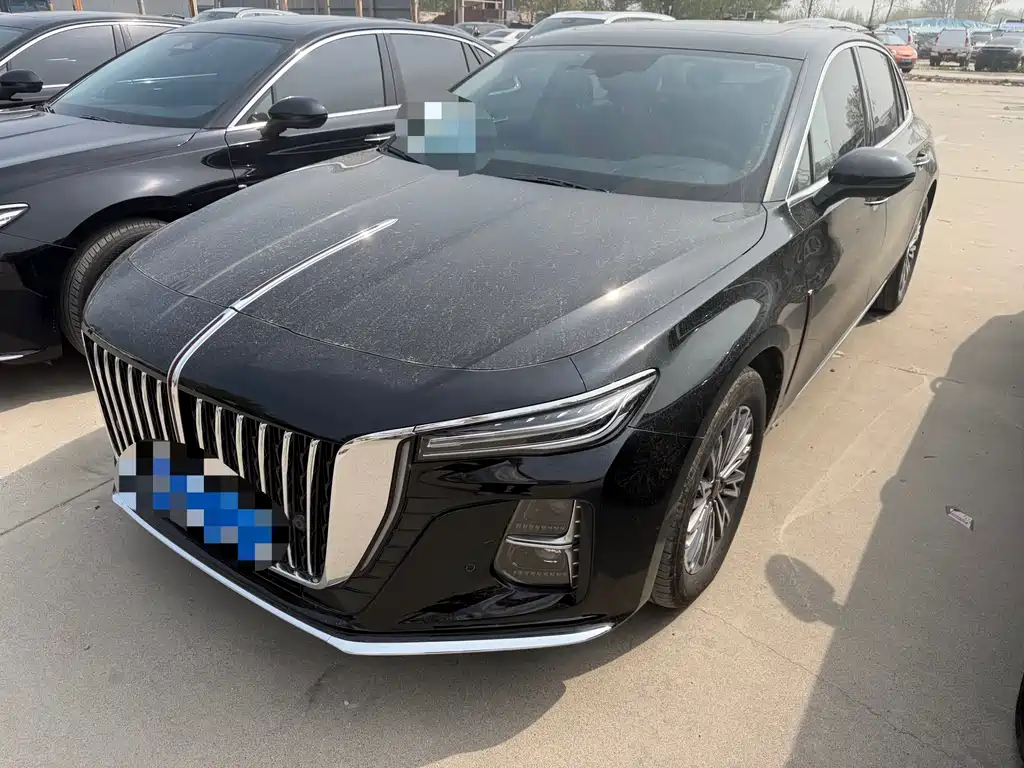Hongqi Hongqi H5 2024