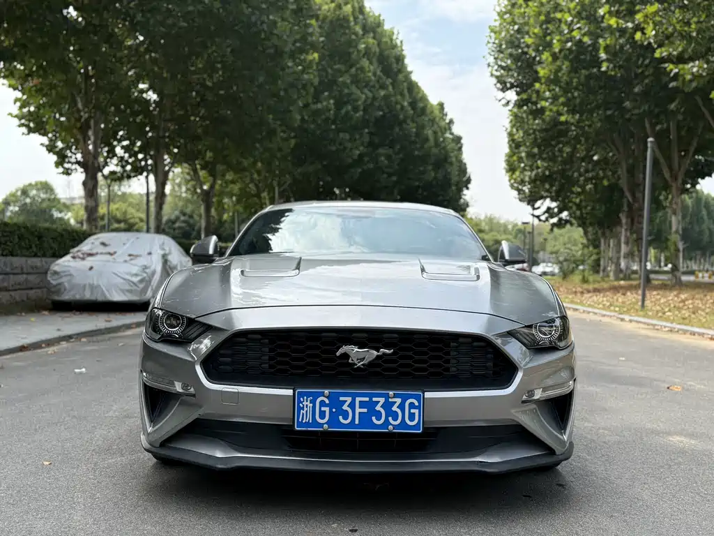 Ford Mustang — миниатюра 2