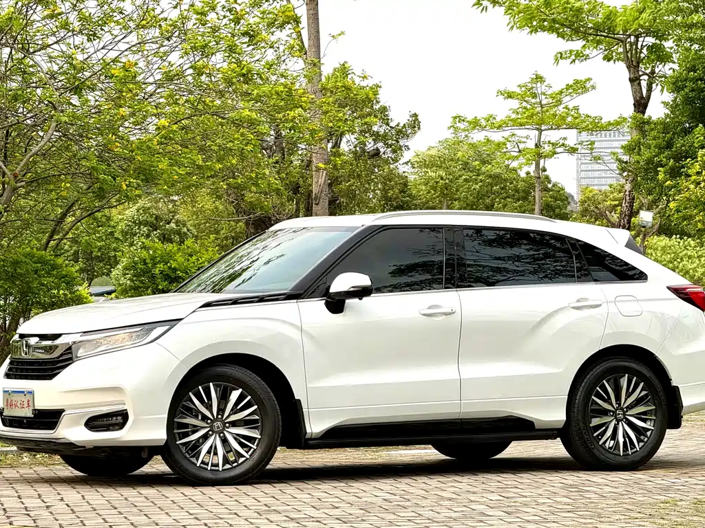 Honda Avancier — миниатюра 2