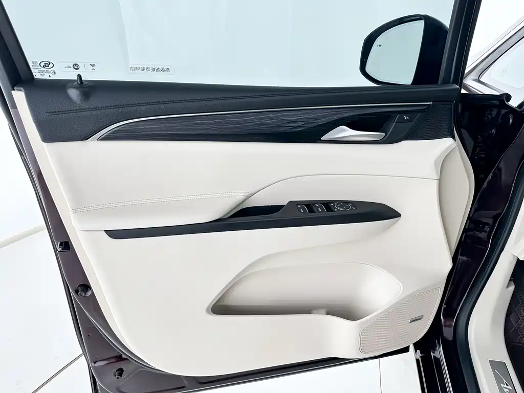 Buick GL8 2020 Avenir мест