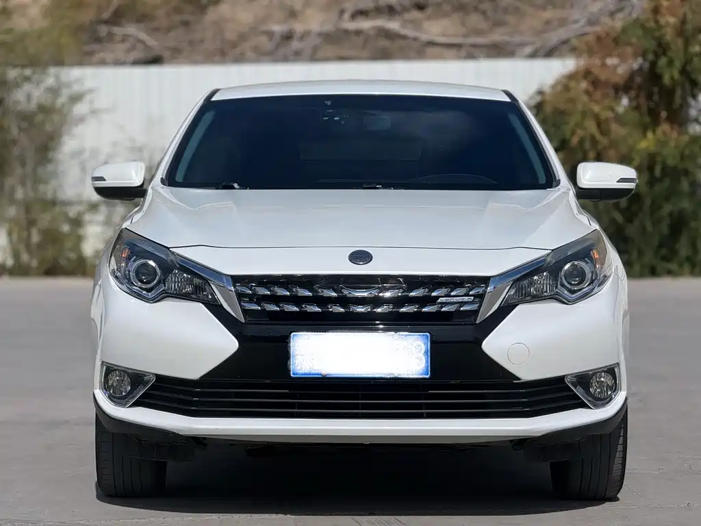 Venucia T90 — миниатюра 2