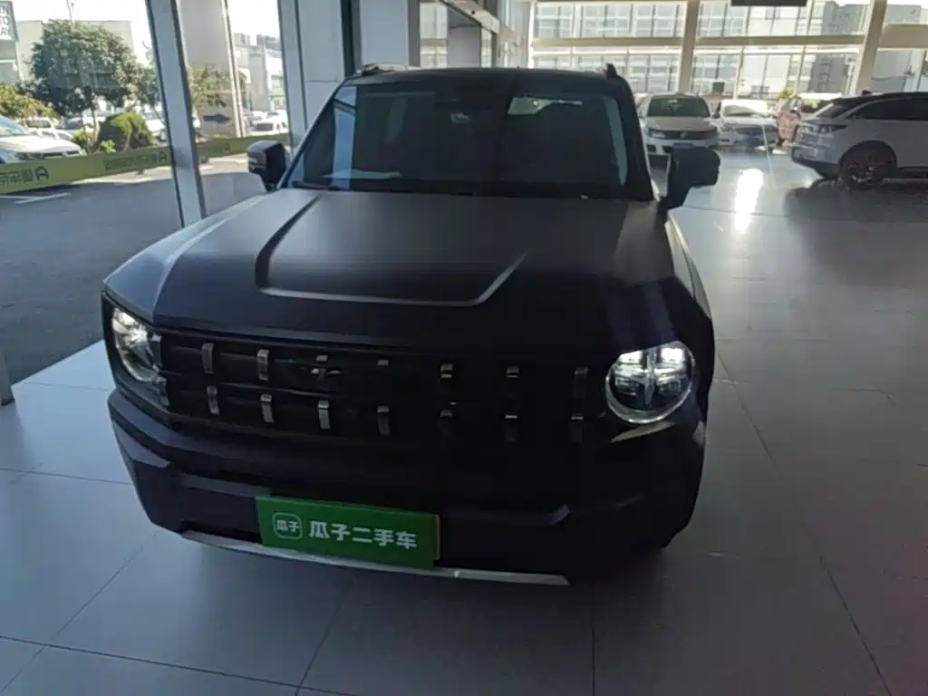 Haval Cool Dog — миниатюра 3