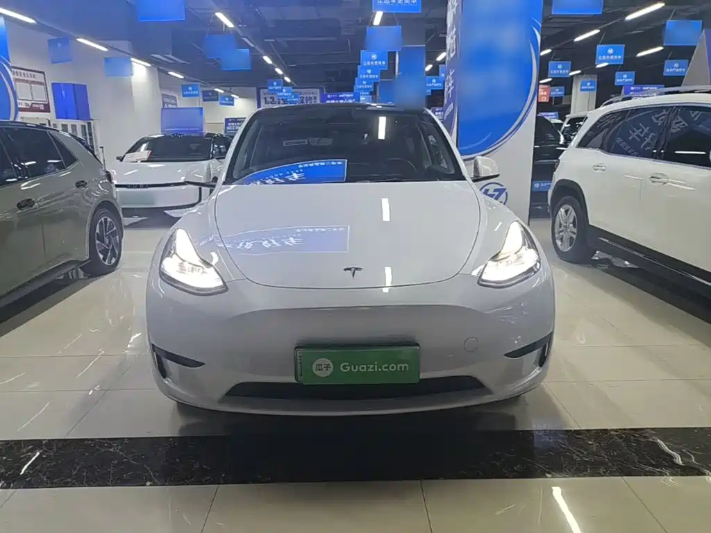 Tesla Model Y — миниатюра 3