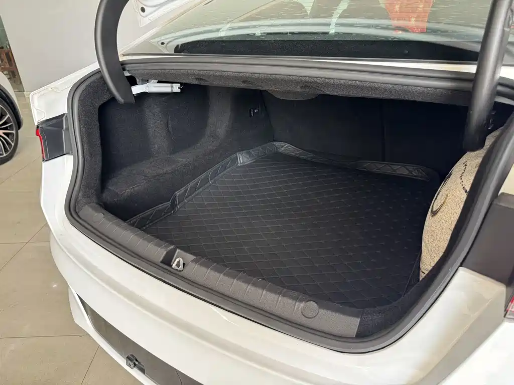 BYD Qin PLUS — миниатюра 12