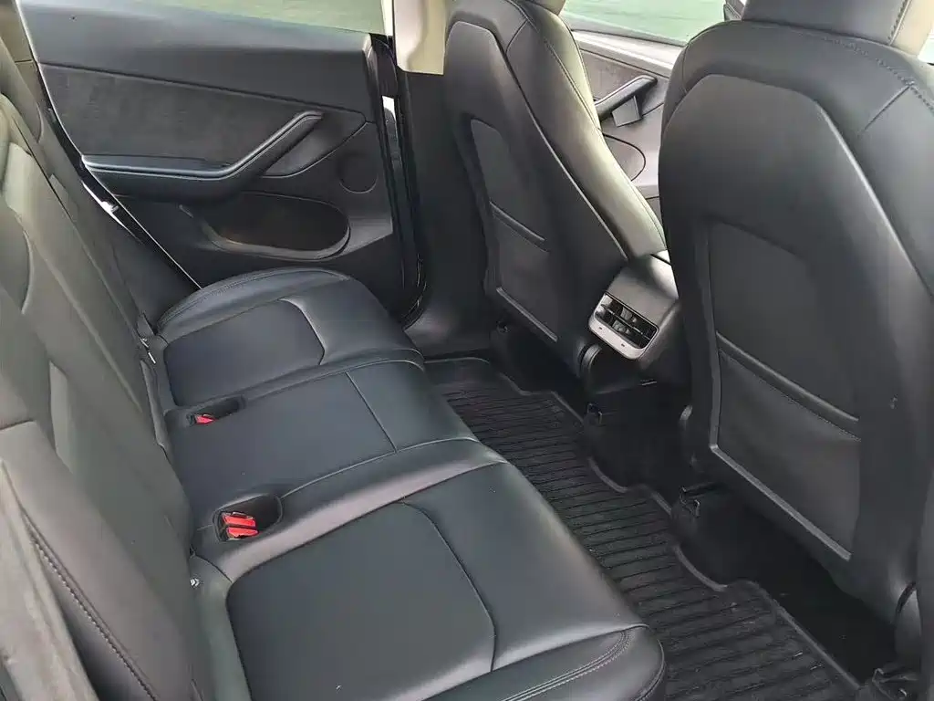 Tesla Model Y — миниатюра 4