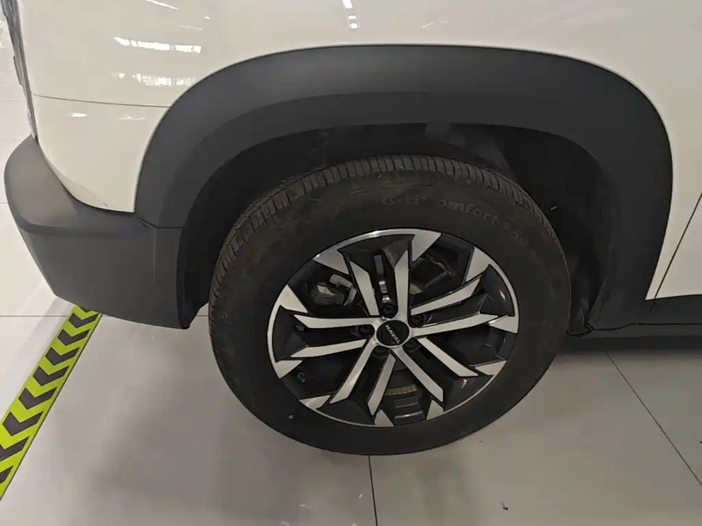 Haval Big Dog — миниатюра 23