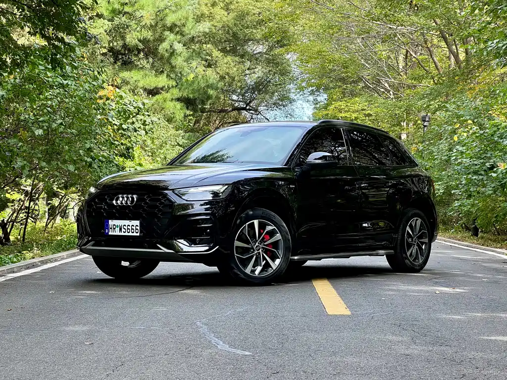 Audi Q5L